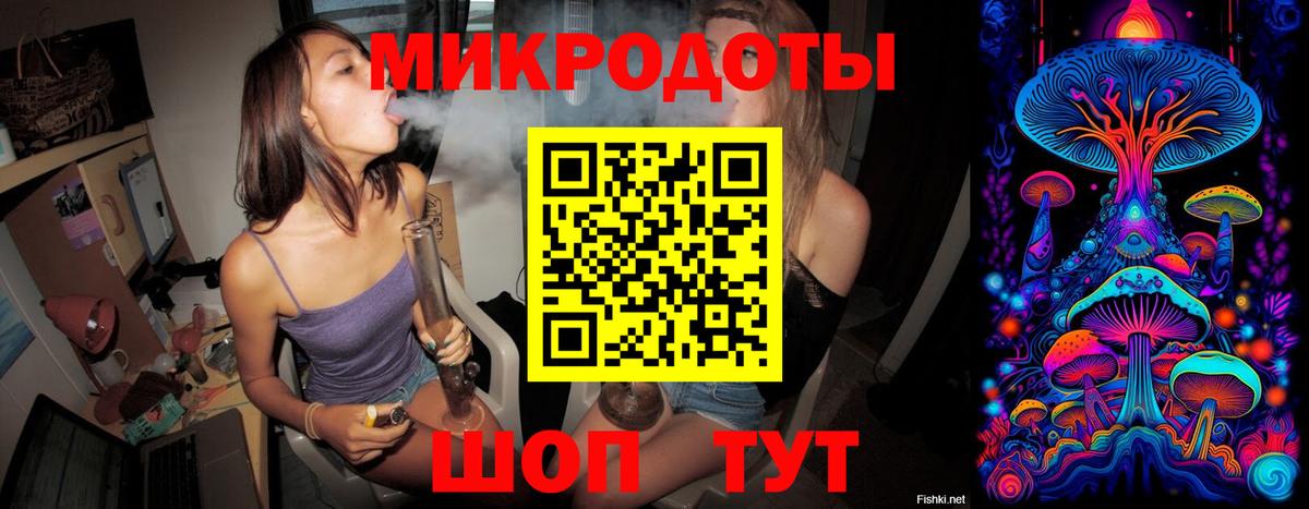 Галлюциногенные грибы Psilocybe  Вход с VPN  Сланцы  Псилоцибиновые грибы Cubensis 